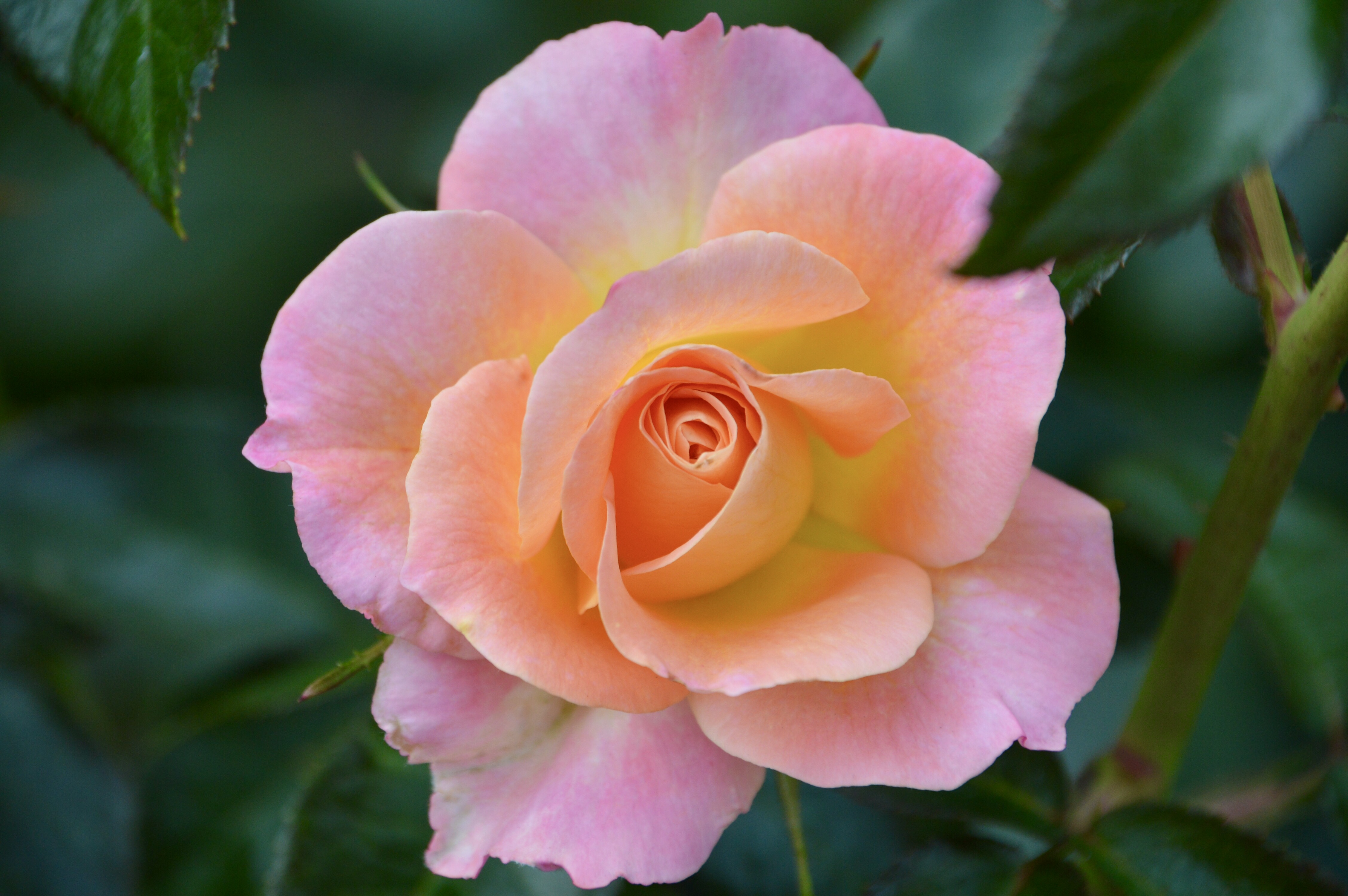 01523E22-73AA-429B-BFBD-8720F95887A0