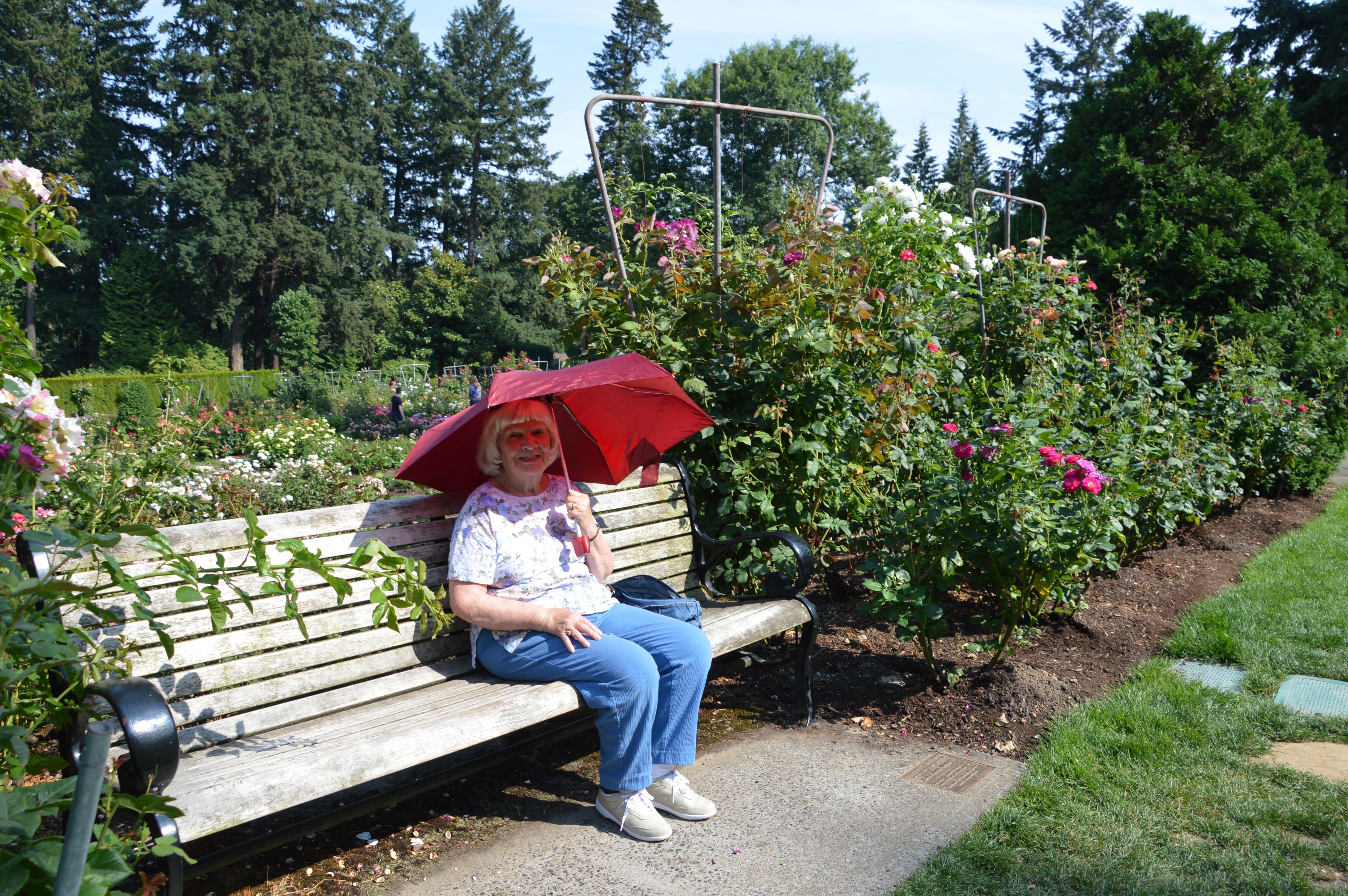 58E16EFF-EAEE-476A-B73B-B3B332A3054D