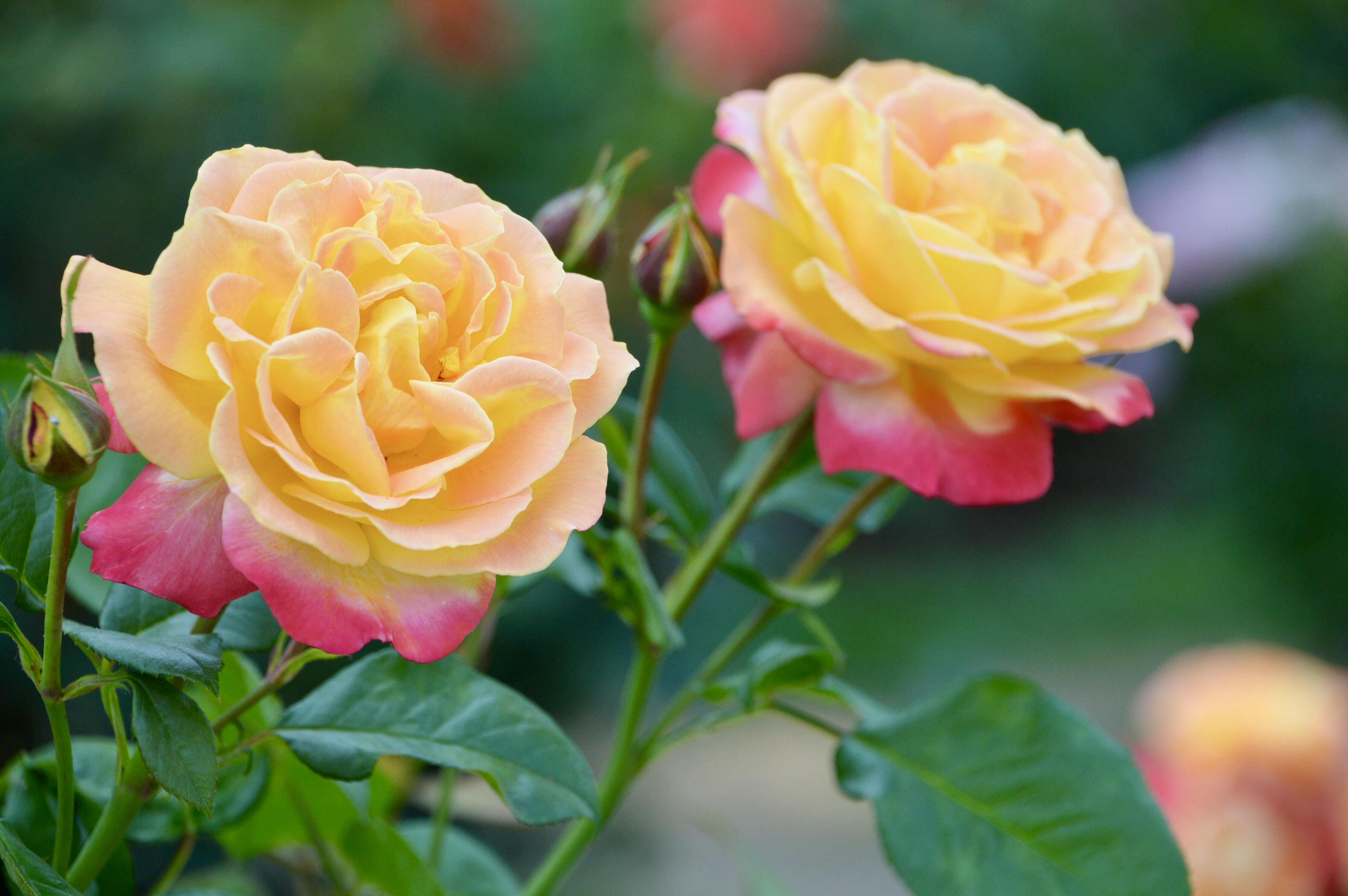 C573E049-78EC-40E6-BDF6-E08A9C49DF8E